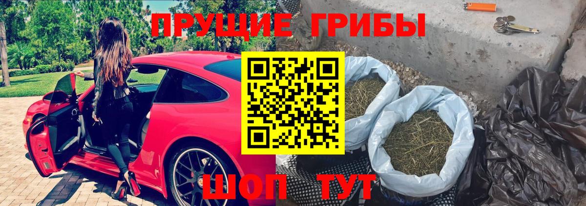 Псилоцибиновые грибы Magic Shrooms  Галлюциногенные грибы Cubensis  купить  цена  Отрадный  Вход с VPN 