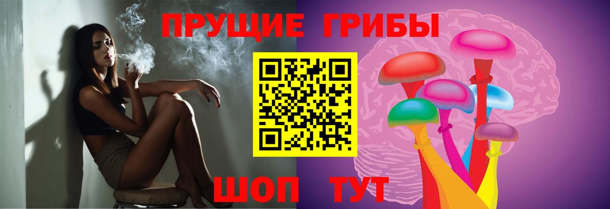 Галлюциногенные грибы Cubensis Отрадный